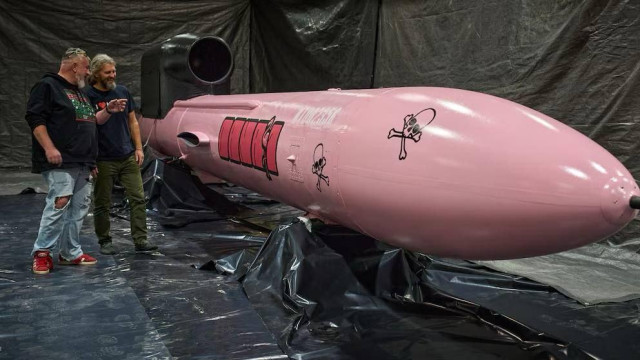 Ukraine's Flamingo cruise missile