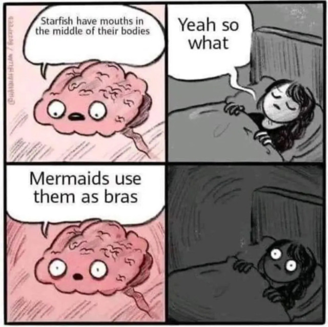 Four panel cartoon. 

Panel one is Brain who says: Starfish have mouths in the middle of their bodies 

Panel 2 is a woman lying in bed with her eyes closed, who says: Yeah so what?

Panel 3 Brain says: Mermaids use them as bras

Panel 4 is the woman, eyes wide open, staring into the dark. 