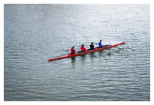 A calm, open body of water fills most of the frame under overcast daylight. In the center of the image, a sleek, narrow, bright red rowing shell (a four-person sweep boat) glides smoothly across the water. The boat is viewed from behind and slightly above.Four rowers sit in a single-file line facing backward toward the stern. Each rower holds two oars that extends out to the side of the boat; the white blades of the oars are just entering or leaving the water in mid-stroke, creating small splashes and ripples. There is no coxswain visible, suggesting this is a coxless four. The water around the boat is grayish-blue and gently rippled, with no land, other boats, or horizon visible in the frame.