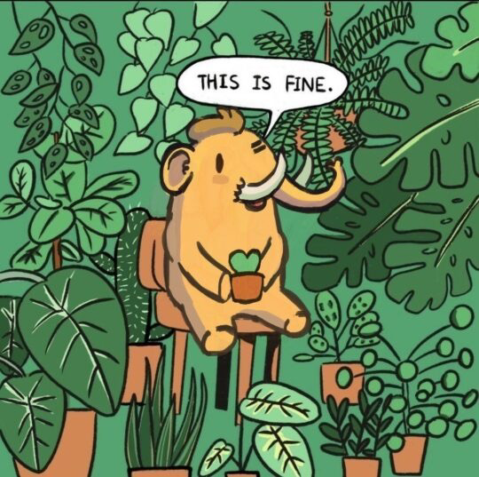 An illustration of a friend-shaped mastodon seated atop a chair and holding a small, green, potted plant. It is surrounded by a veritable forest of greenery and remarks in a speech bubble “This is fine.”