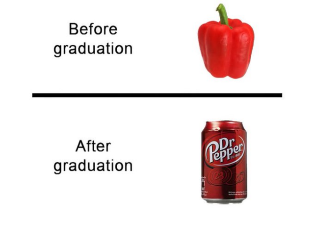 A two-panel meme contrasting items before and after graduation. The top panel shows the text "Before graduation" next to a photo of a red bell pepper. The bottom panel shows the text "After graduation" next to a photo of a red can of Dr Pepper soda.