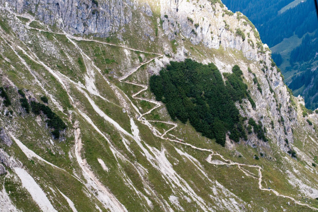 Auf dem Bild ist eine steile Berglandschaft mit einem gewundenen Wanderweg zu sehen. Der Weg schlängelt sich den felsigen, teilweise mit Gras bewachsenen Hang hinauf. In der Mitte des Bildes befindet sich ein dichter, dunkelgrüner Nadelwaldbereich.