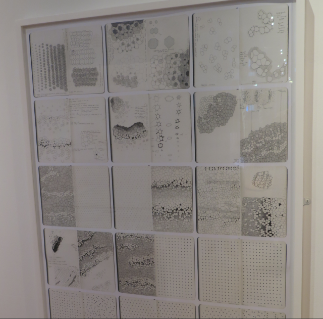 View of a framed artwork behind glass on the white all of a gallery. The work consists of scanned pages from the artists notebooks/sketchbooks dealing with the crystallography and nanostructure of mollusc shells examined by scanning electron m icroscope and electron back-scater diffraction.