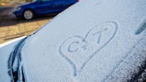 Selten bewegte Pkw: In Deutschland gibt es fast so viele Stehzeuge wie Fahrzeuge