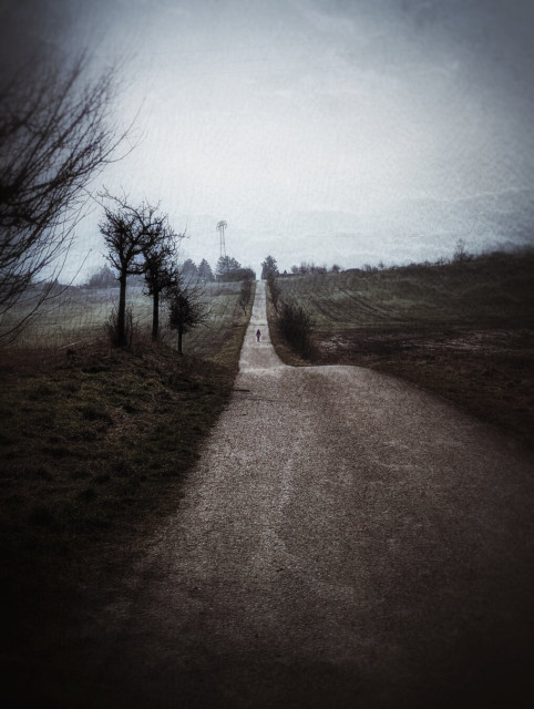 A moody, atmospheric and grainy photograph of a long, straight path stretching into the distance. The path is flanked by leafless trees and sparse vegetation, creating a sense of solitude. In the far distance, a lone figure walks along the path, adding a sense of scale and mystery. The sky is overcast, casting a muted, greyish light over the scene, which enhances the overall melancholic and contemplative mood. The landscape appears open and rural, with gentle hills and fields visible on either side of the path. The image is rendered in a slightly desaturated, high-contrast style, emphasising the textures of the gravel and the silhouettes of the trees.