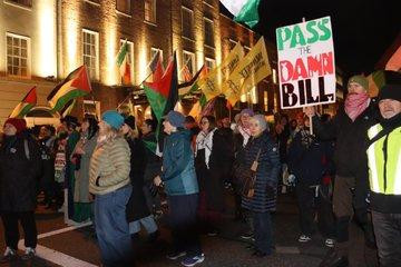 Groups of protesters with flags and a placard reading PASS THE DAMN BILLS outside the IRish Parliament.