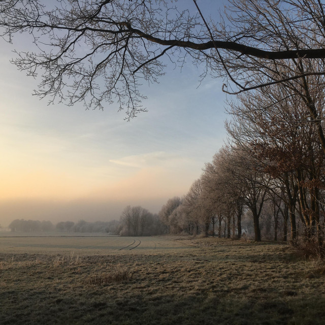 Eine mit Raureif überzogene grüne Wiese. Eine Baumallee die sich in die Ferne zieht. Mit Raureif überzogene Baumkronen, in der Ferne durch Nebel verhüllte Bäume. Ein Stück blauer Himmel verzaubert die Landschaft. Und die tief stehende Sonne zaubert einen Streifen gelb-orange auf den Dunstschleier. 