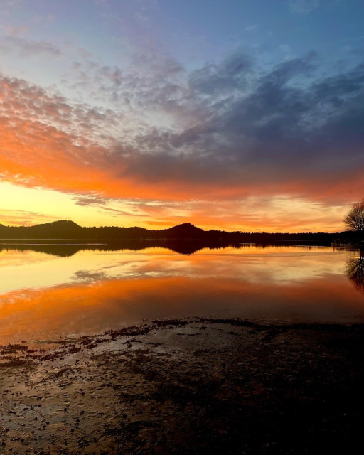 Looking over a lake (yes, the same old lake but it’s always so different). This is the moment of sunset where the sun’s rays skim over the horizon through our atmosphere scattering red, orange, and yellow light to illuminate the bottom of clouds stretching in an arc from horizon to horizon. The rays are then reflected onto a placid lake creating a perfectly symmetrical pattern of light and dark dunes.  In the foreground is a sandy shore strewn with weeds.  
