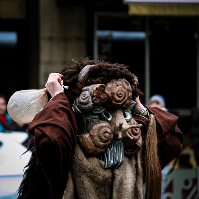 Frag nicht, was das für ein Unfall ist.. Kreuzung aus Schnecken und Biber oder so