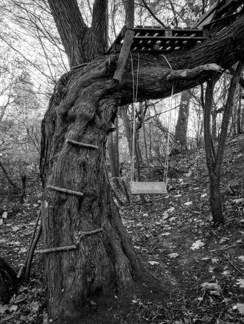 The photograph shows a weathered, twisted tree in a forest, captured in black and white. Its massive, textured trunk bends dramatically to the side, creating a natural support for a simple wooden treehouse platform built among the branches. Rough wooden steps are nailed into the trunk, forming a makeshift ladder leading upward.

Hanging beneath one of the large horizontal limbs is a small wooden swing suspended by two ropes, gently poised above a leaf-strewn forest floor. The surrounding trees are thin and bare, their branches creating a delicate, tangled backdrop. The overall mood is nostalgic and slightly melancholic — a quiet reminder of childhood play spaces now softened by time and nature