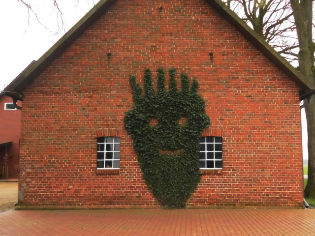 Die Giebelseite eines Gebäudes aus rotem Klinker ist bis in einer Höhe von drei bis vier Metern mit Efeu bewachsen. Das Efeu ist so beschnitten, dass Augen und ein lachender Mund ausgespart sind. Haarbüschel scheinen hoch zu stehen. Es sieht sehr fröhlich aus.