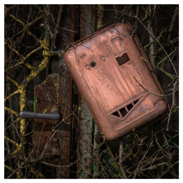 Verrosteter Briefkasten mit einem Gesicht aus zufälligen Öffnungen: Zwei runde Löcher wirken wie Augen, ein rechteckiger Ausschnitt wie eine Nase, und eine gezackte Öffnung erinnert an ein lächelndes Maul. Der Briefkasten ist an einem Metallzaun befestigt, umgeben von überwuchernden Ästen und Ranken, was eine Atmosphäre von Verfall und Rückeroberung durch die Natur erzeugt.