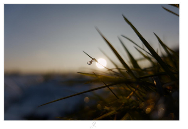 The Drop
Close-up of an ice drop on a blade of grass against the blue sky. The drop is in focus, the rest is blurred. The image was taken shortly before sunset. The sun can be seen as a round white circle directly behind the blade of grass to the right of the drop, creating some reflections in the ice drop. The colors are dim, consisting mainly of light blue and some orange towards the horizon. The surrounding and also backlit blades of grass form dark contrasting lines.

AI disclaimer: Using my work, its meta data, written or derived description to create media with or train AI based systems is prohibited.