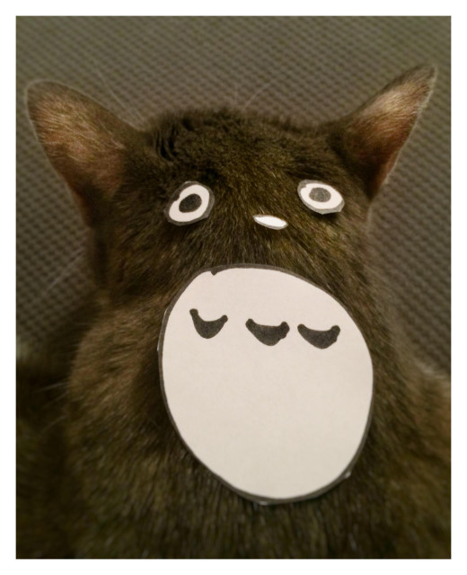 Photo of the back of a gray cat’s head and neck. Paper cutouts with black pen markings have been arranged on top to resemble the eyes, nose, and belly of the title character from Hayao Miyazaki’s animated film “My Neighbor Totoro.”