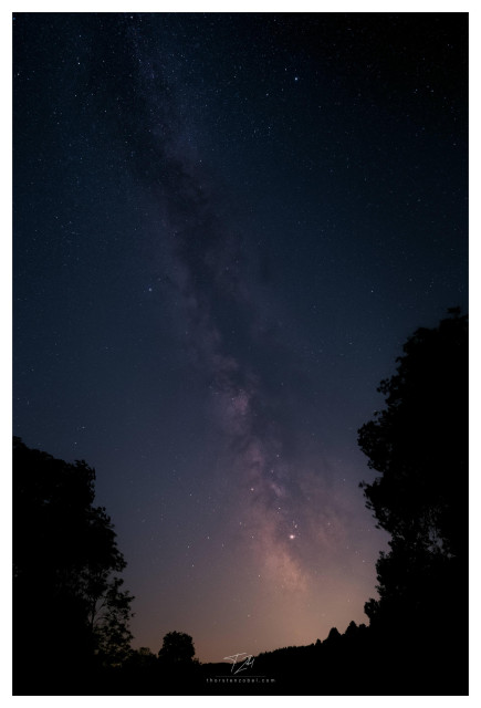 Vertical shot of the milky way, framed by trees on the left and right.