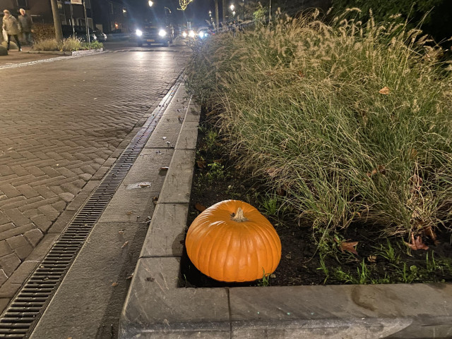 A streetscene with a decorative festive pumpkin