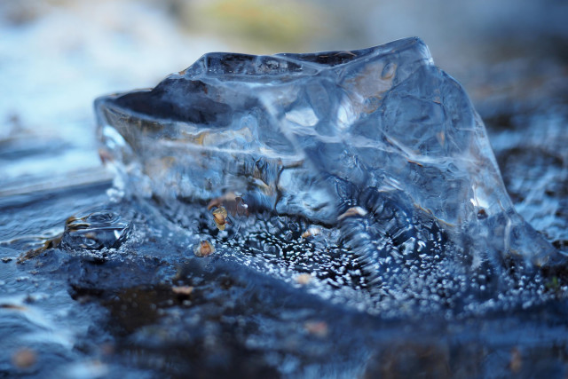 Nahaufnahme: Ein kleiner Eisblock auf einer Wasserstelle mit vielen unterschiedlichen Luft- und Pflanzen-Einschlüssen, Ecken und Kanten. Die Hauptfarbe des Fotos ist blau, der Fokus liegt auf dem Block, der Hintergrund ist unscharf. 

Close-up: A small block of ice on a waterhole with many different air and plant inclusions, corners and edges. The main colour of the photo is blue, the focus is on the block, the background is blurred. 