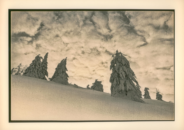This lith print captures a quiet, almost otherworldly winter scene from the Carpathians. A line of heavily snow-laden fir trees leans gently along a sloping hillside, their forms sculpted into soft, abstract shapes by wind and frost. The sky above is filled with textured, mottled clouds that add a sense of depth and quiet tension, contrasting with the smooth, untouched snow in the foreground.

The lith process gives the image its distinctive warm, slightly sepia tone and gritty shadow texture, creating a timeless, atmospheric mood. The combination of delicate grain, soft highlights, and deep, expressive shadows makes the landscape feel both serene and slightly surreal — a frozen, silent world paused in mid-breath