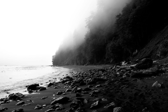 A black and white photograph of a beach and ocean. It is foggy and the light is low. The sand is dark and littered with darker rocks. Steep pine covered hillsides stretch up and to the right. The sun is behind low clouds and fog.