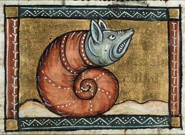 Angry snail. Jacob van Maerlant, Der Naturen Bloeme, Flanders ca. 1350. Den Haag, Koninklijke Bibliotheek, KA 16, fol. 109v.
#medieval #MedievalArt