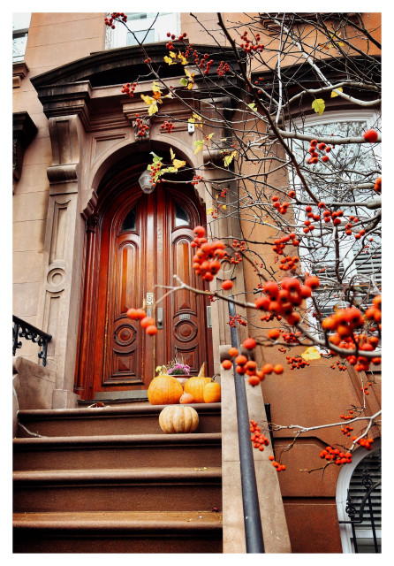Photo of a door at the top of a stoop in a brownstone building in Brooklyn, partly obscured by some branches with red berries in the foreground. The door has an arched top and decorative wood paneling. On the steps in front of it are a variety of large and small pumpkins. The image is in rich autumn tones of red, orange, and brown.