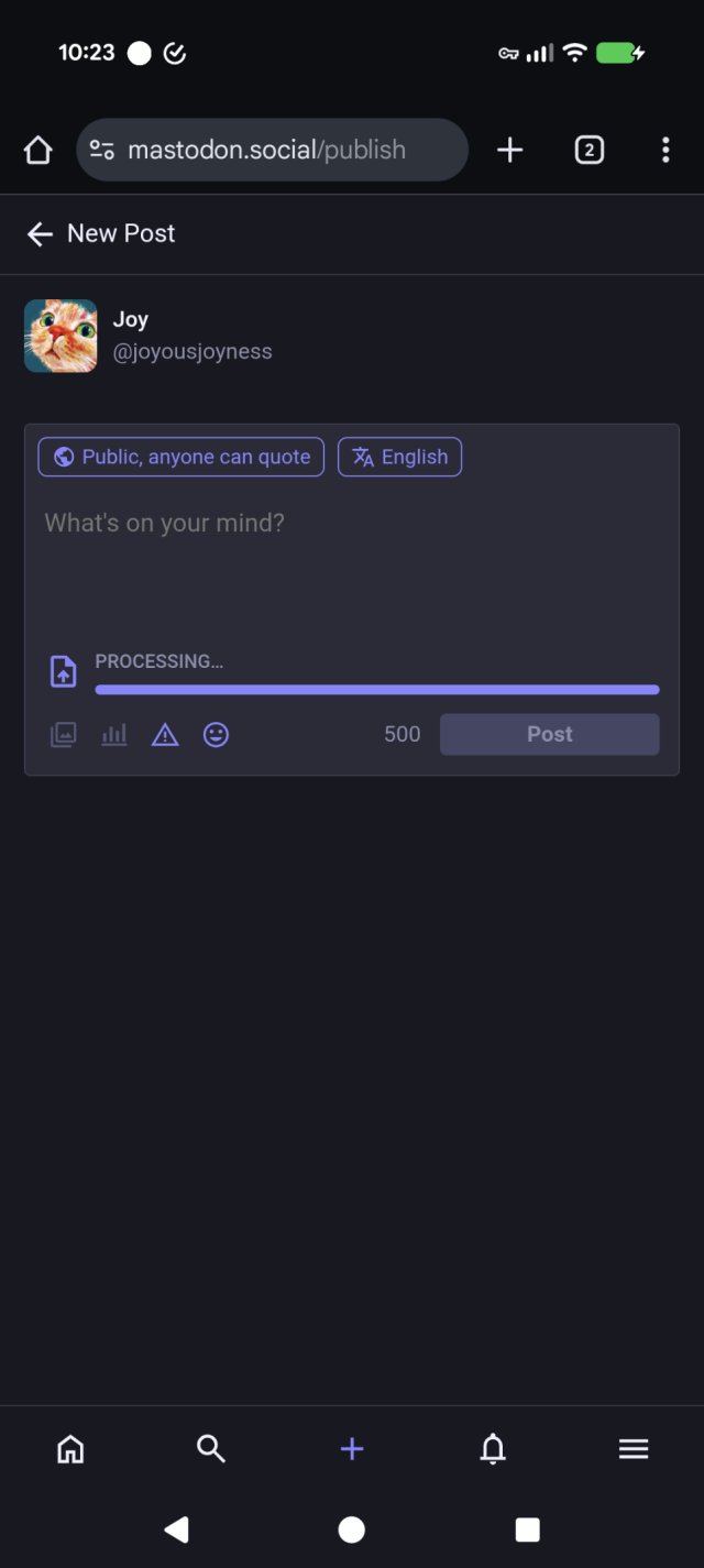 Screenshot of the mastodon website showing the video being stuck in processing.