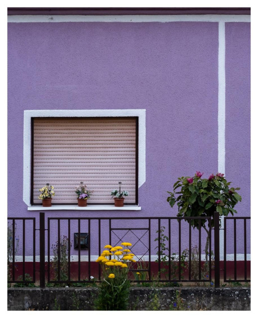 Violette Hauswand mit geschlossenem weißen Rollladenfenster, drei kleinen Blumentöpfen auf der Fensterbank, Metallzaun im Vordergrund und gelbem sowie pinkem Blumenschmuck im Garten.