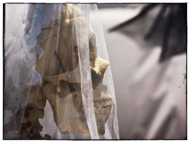 A street portrait / head shot of a aged, off-white skeleton wearing a white lace bridal veil. The bony bride is gazing out from the left half of the photo, peering through her veil as she looks off to the right... with jaw pinned up to the cheekbone to keep her pearly teeth smiling.

Lovely jaw and bony neck, by the way. 

Okay this has to be the strangest alt text I've ever written.
