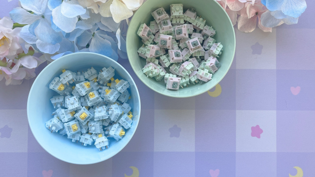 2 types of keyboard switches.