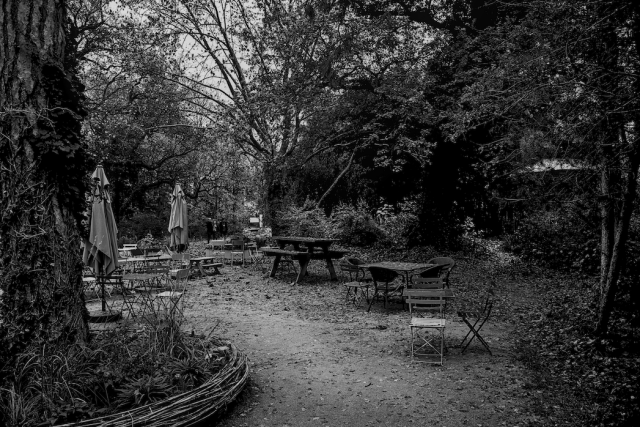 Daylight monochrome photography.
Ghost places with garden furnitures in mid-acceptance state of winter reality, mists of light hidden in the dense undergrowth, distant shadows that persist in materialising a few whispers.