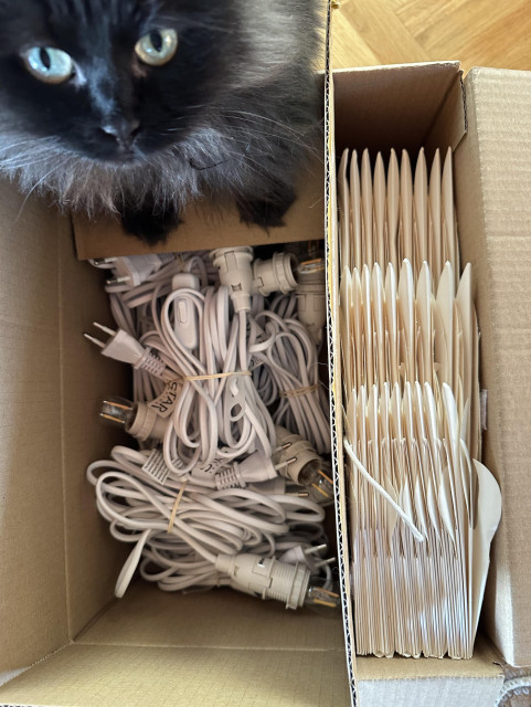 En låda med ihopvikta adventsstjärnor, fint ihoplindade sladdar ligger i en låda. En svart katt ”hjälper till”.