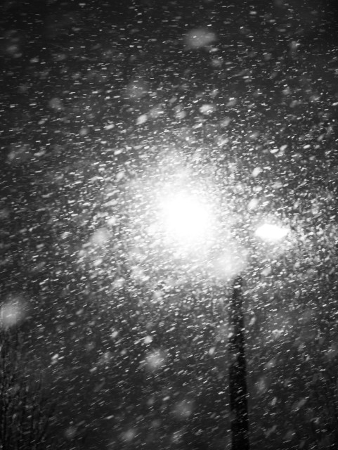Snow falling underneath a street light