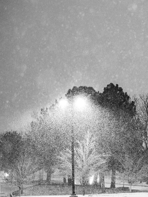A street light stands casting light with snow captured in the moment
