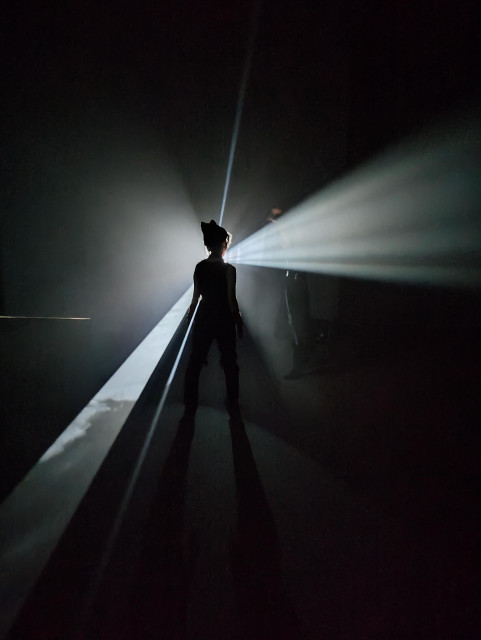 Someone stand in front of art work made by Anthony McCall. The light spreaded by her body.