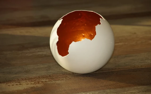 Usar la membrana de huevo como material de regeneración ósea