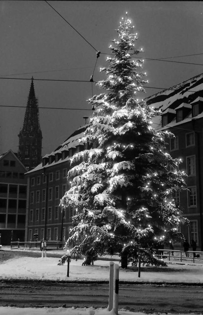 Schwarz-weiß Aufnahme: Freiburg 27. Dezember 1964. Platz am Siegesdenkmal. Im Vordergrund Tannenbaum mit Lichtern. 