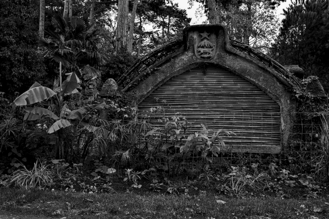 Daylight outdoor photography

A well aligned - from tall (left) to small (right) - crowd of plants waiting for the tiny theatre to open the gate.