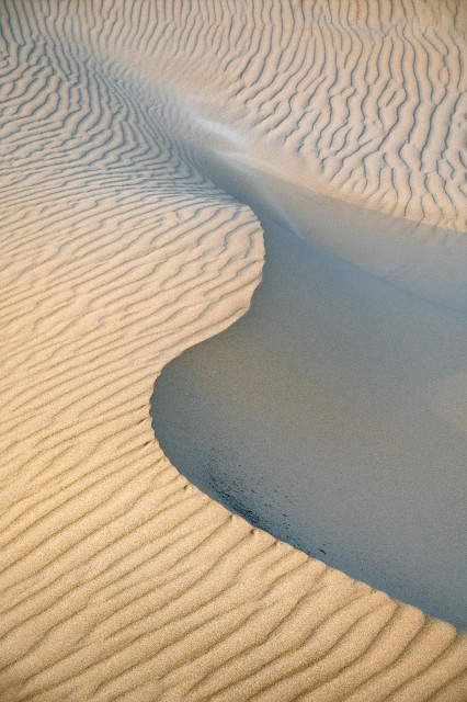 closeup of a curved dune ridge, one side is bright and lit, the other one is in shadow. The curve goes vertically from bottom right to top left