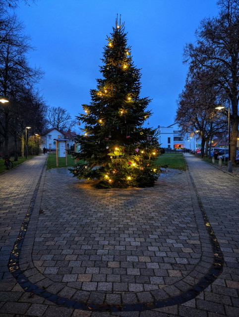 This image features a decorated Christmas tree situated outdoors during the evening. The tree is adorned with an array of colourful lights and ornaments, creating a warm and festive atmosphere. It stands prominently on a paved pathway, which is bordered by cobblestones and illuminated by nearby streetlights. In the background, you can see houses and bare trees, suggesting a residential area. The sky is a deep blue, indicating that the photo was taken at dusk or early evening. The overall scene evokes a sense of holiday cheer and tranquillity.
