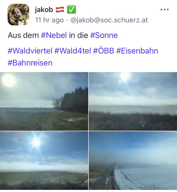 Abbildung eines Posts mit vier Abbildungen von Landschaften im Nebel. 