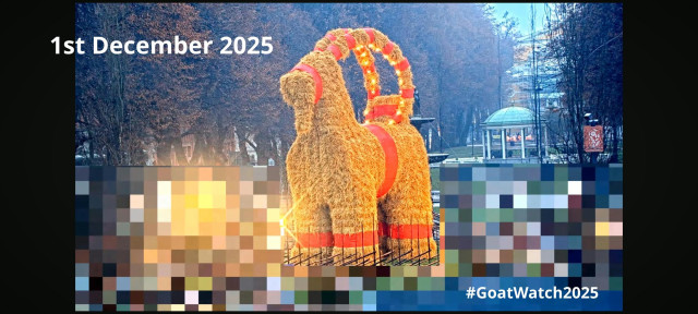 The Gävle Goat on the morning of 1st of December 2025. 

Picture shows a large straw effigy of a goat with red trimmings surrounded by a fence. Behind the goat a tree lined esplanade and the Gävle theatre are visible. Parts of the image are pixelated to obscure people passing by.

Picture from YouTube Live Feed. 

