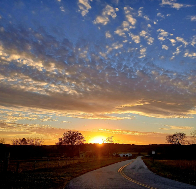 I was driving home and pulled over on the side of this pretty lonely old highway. The sun was setting with just these little whispy clouds, and they were lit up like golden lanterns, with the bare tree branches silhouetted like lace in the background.