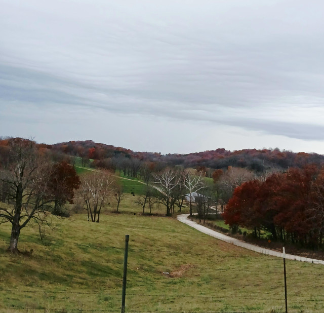 A little valley I found on a gravel road, you can see the road twist through it, like a river, the grass is still mostly green, but the trees are auburn and orange, while bare sycamore stand out with their white upper branches. It beckons you to follow the road in further.