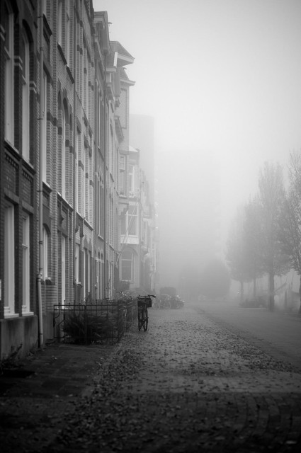 A foggy street lined with brick buildings, featuring a lone bicycle parked near the edge. The scene is monochromatic, with a hazy atmosphere that obscures visibility further down the road. Fallen leaves cover the ground, creating a tranquil yet mysterious ambiance