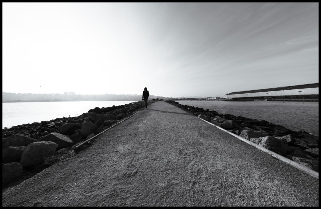 A high contrast, monochrome photo, taken at a bird sanctuary on the eastern shore of San Francisco.

While the number of birds at the sanctuary was underwhelming yesterday, there was one particular subject worth photographing: Chris. He is shown here in silhouette, in the distance, walking towards me with camera in hand, on the edge a long, packed dirt path that extends out into the waters of San Francisco Bay.

The dirt path has small boulders on each side, and water from the bay just beyond the boulders. The mid-afternoon sun glares off to the left. And there's a long, low slung industrial shed on the right: a recycling facility for much of San Francisco's garbage. The seagulls hang out there, naturally.