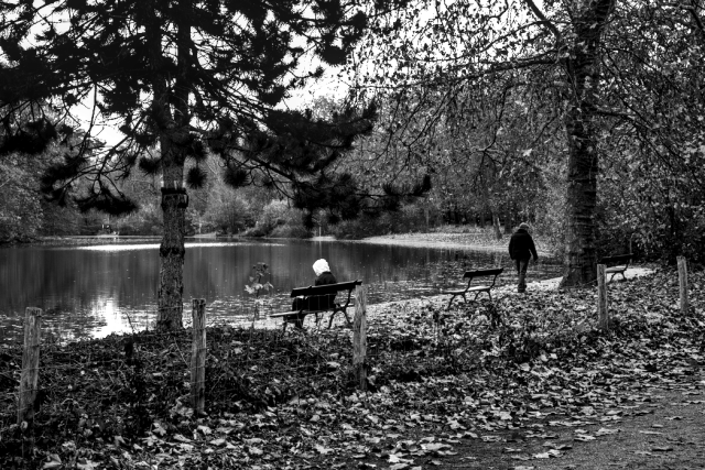 Daylight outdoor photography

in the woods a lake, some benches, a person sitting in one of them seen from behind, another one, older,  escaping the scene to the right