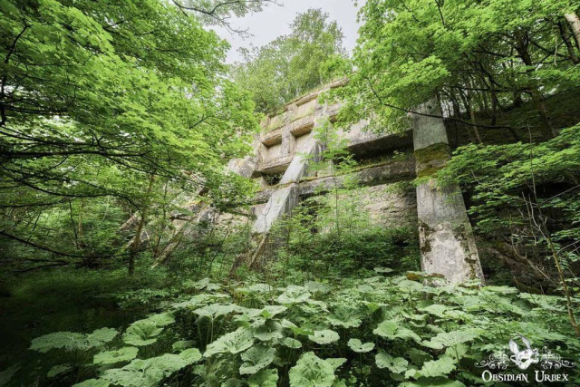 pyramid like grey ruins emerging from forest