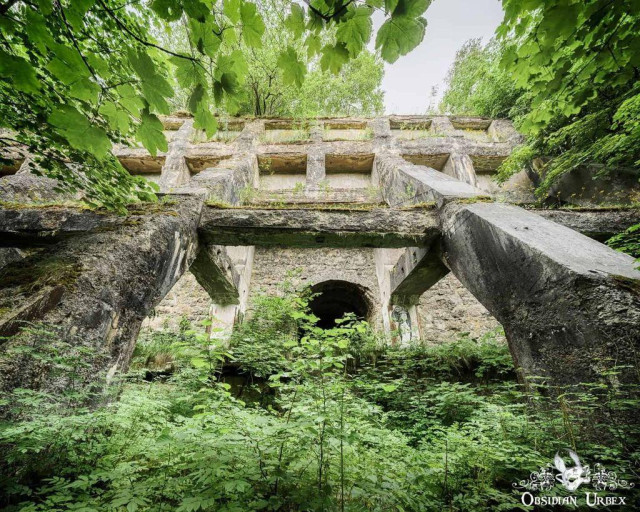 Arches and opening, ruins in the forest