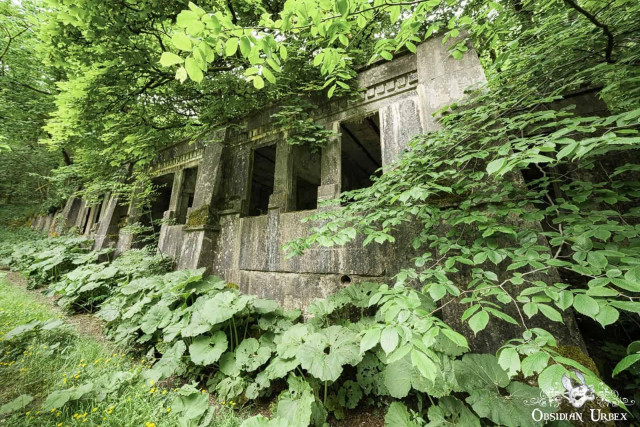 Block ruins surrounded by trees and plants