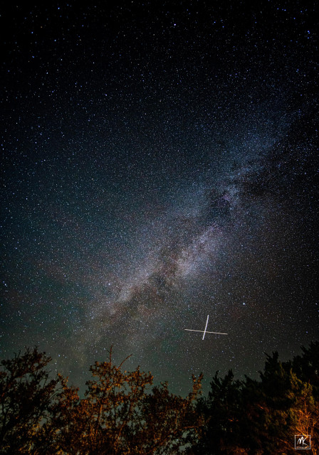 Long exposure color photo of the night sky with the Milky Way rising above trees and an ‘X’ just below the Milky Way where the lights of two plane paths intersected during the exposure.